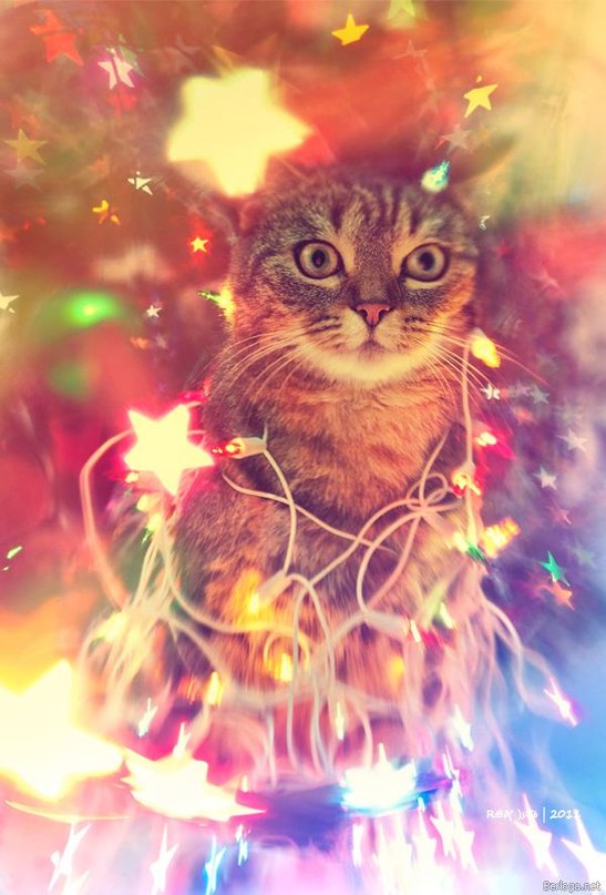 Саша Ивахненко фотография #47