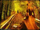 Фотография Dernovschuk Nastenka