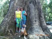 Леся Боїло фотография #33 (источник - https://vk.com/id56669498)