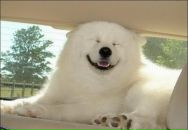 Фотография Севера Сереги