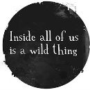 Bee Bee фотография #26 (источник - https://vk.com/id1832259)