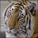 Фотография Перстина Константина