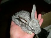 Фотография Романова Андрея