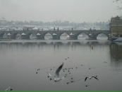 Фотография Аккерман Ленка