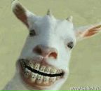 Фотография Лукьяновой Анны