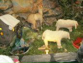 Юлія Золотоцька фотография #21 (источник - https://vk.com/id64797630)