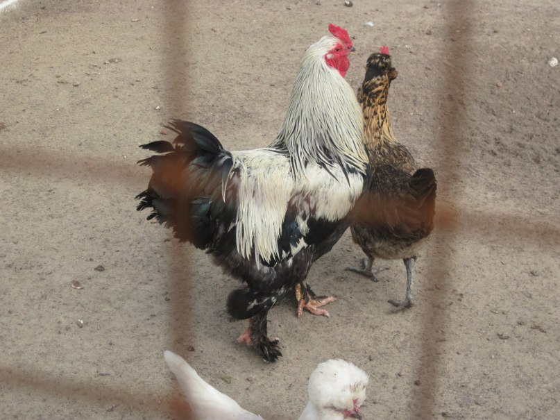 Наталья Гринёва фотография #48