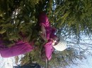 Юлюсік Мельник фотография #39 (источник - https://vk.com/id142312745)