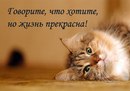 Софія Щипановська фотография #32 (источник - https://vk.com/id190676178)