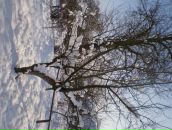 Світланка Маркович фотография #32 (источник - https://vk.com/id84053298)