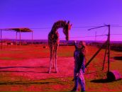 Софія Боднарчук фотография #41 (источник - https://vk.com/id132548133)