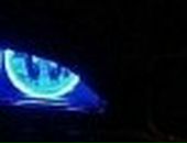 Марсель Нигмедзянов фотография #37 (источник - https://vk.com/id13565497)