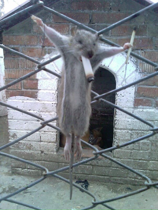 Дима Одинец фотография #40