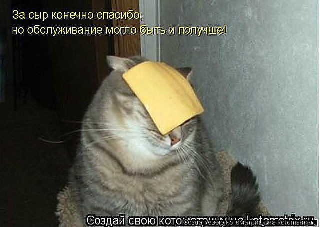 Эля Остапенко фотография #20