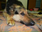 Фотография Варсеева Виталика