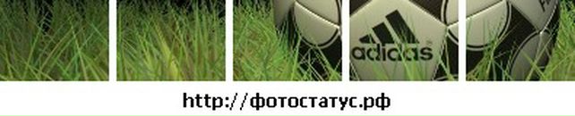 Дмитрий Егоров фотография #19 (источник - https://vk.com/id37264180)