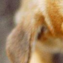 Viki @@@@@@@@@ фотография #16 (источник - https://vk.com/id141663195)