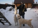 Надя Голуб фотография #11 (источник - https://vk.com/id158879054)