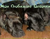 Фотография Тениловой Юлии