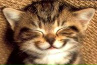 Фотография Жуковой Екатерины