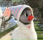 Фотография Коваленко Анны