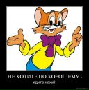 Фотография Грачёва Андрея