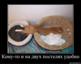 Алина Українка фотография #30 (источник - https://vk.com/id8172251)