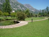 Динара Каевич фотография #39 (источник - https://vk.com/id376105)