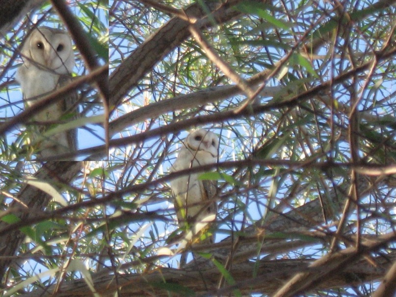 Елизавета Матвеенко фотография #20