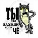 Фотография Кузьминовой Елены