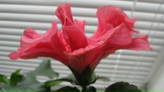 Юлия Дьякова фотография #14 (источник - https://vk.com/id1002634)