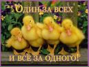 Вікуся Ткач фотография #47 (источник - https://vk.com/id155266672)