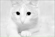 Фотография Уткиной Ксении