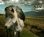 Фотография Прохорова Ростислава