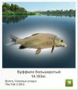 Сергій Тимків фотография #23 (источник - https://vk.com/id56049737)