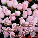 Олег 奥列格 фотография #3 (источник - https://vk.com/id155563567)