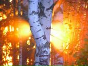 Фотография Абрамовой Татьяны