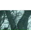 Андрій Горбачевський фотография #20 (источник - https://vk.com/id59045208)