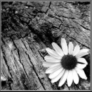 Маріка Намчук фотография #36 (источник - https://vk.com/id73580272)