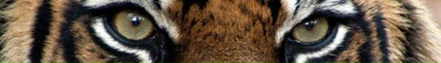 Валерія Новак фотография #23 (источник - https://vk.com/id80313640)