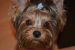  фотография #23