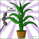 Фотография Алексеевой Юлии