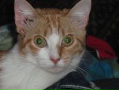 Фотография Степанович Ольги