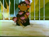 Фотография Крупниковой Екатерины