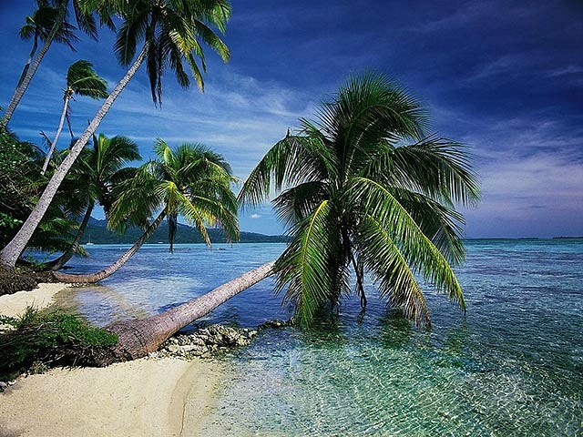 Викки Дементьева фотография #4