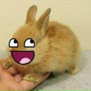 Фотография Страннодумова Андрея