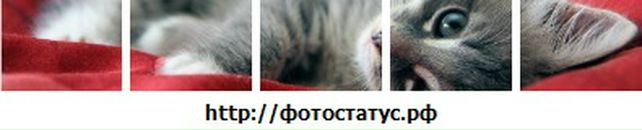 Ірусік Токар фотография #11 (источник - https://vk.com/id148238175)