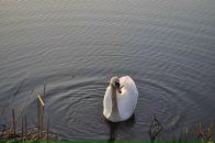 Андрюха Кіптель фотография #41 (источник - https://vk.com/id3545054)