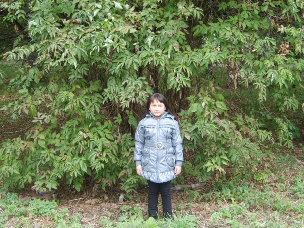 Ленуся Бородина фото №1