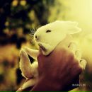 Ірина Маркевич фотография #34 (источник - https://vk.com/id170951901)